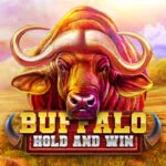 BuffaloHoldandWin